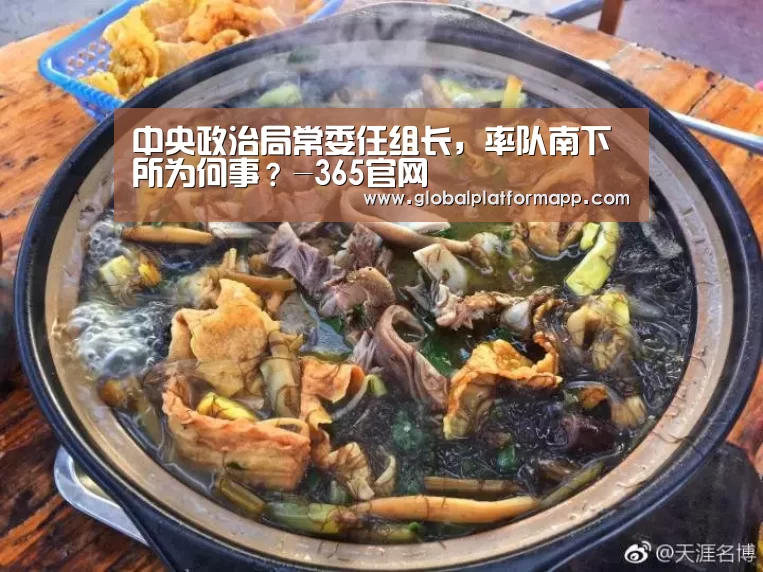 中央政治局常委任组长,率队南下所为何事?-365官网(图1) 英国上市公司365
