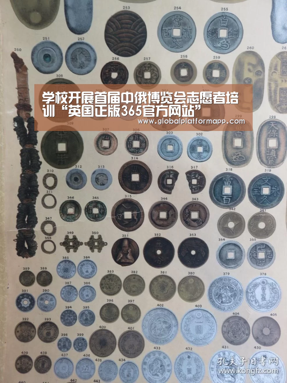 学校开展首届中俄博览会志愿者培训“英国正版365官方网站”(图1) 365官网