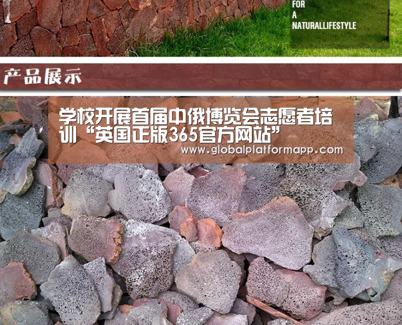 学校开展首届中俄博览会志愿者培训“英国正版365官方网站”(图4) 英国正版365官方网站