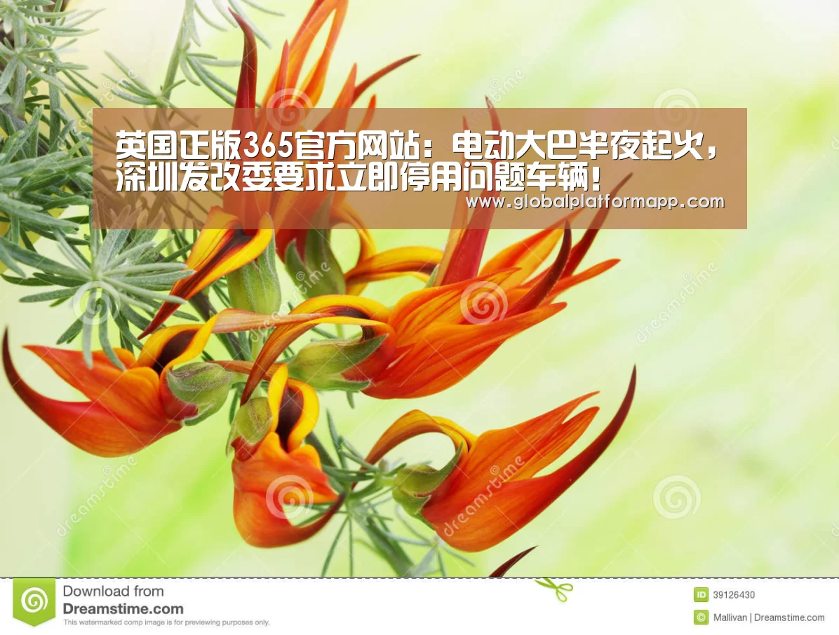 英国正版365官方网站:电动大巴半夜起火,深圳发改委要求立即停用问题车辆!(图1) 英国正版365官方网站