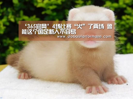 ‘365官网’4场比赛“火”了两场 鲁能这个国足新人不容易(图3) 英国正版365官方网站