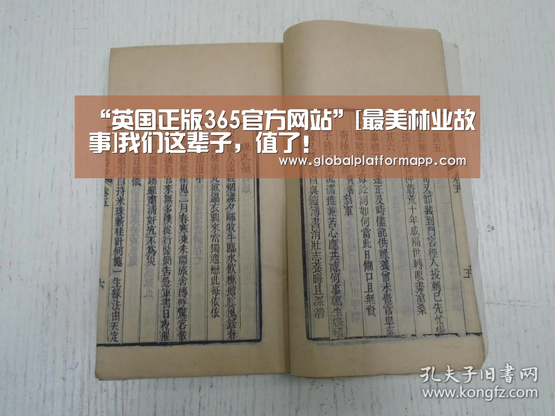 英国365集团