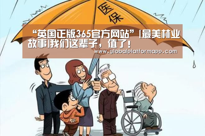 365官网
