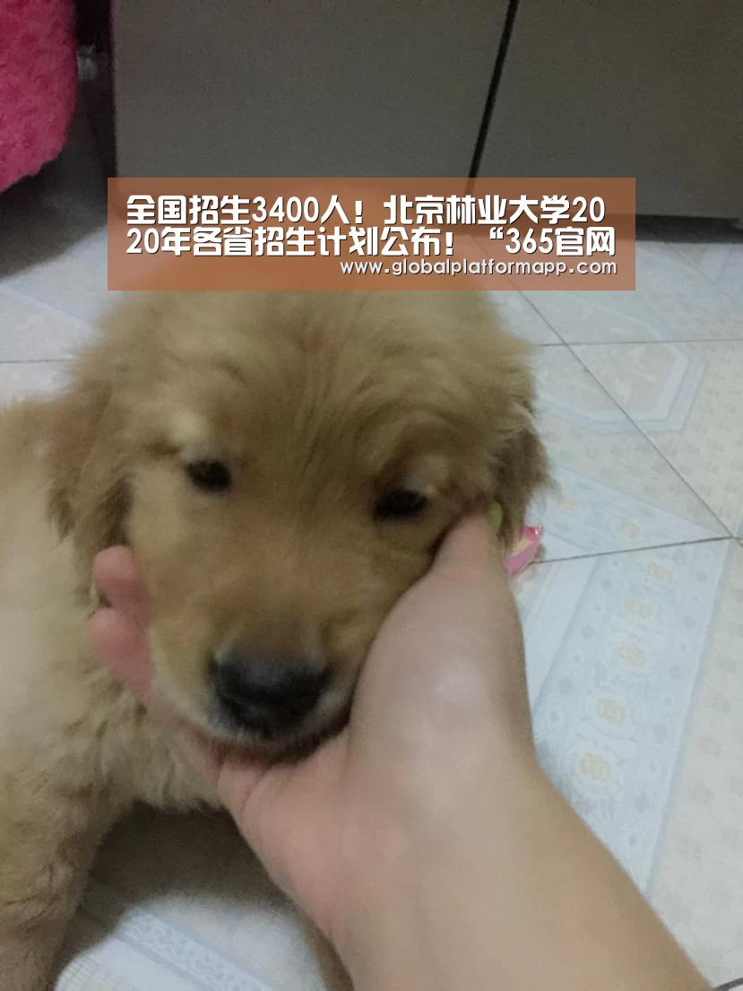 英国上市公司365
