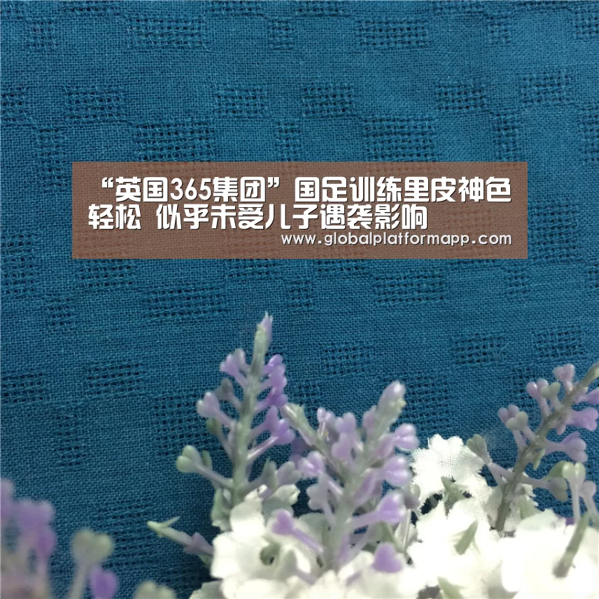 英国365集团