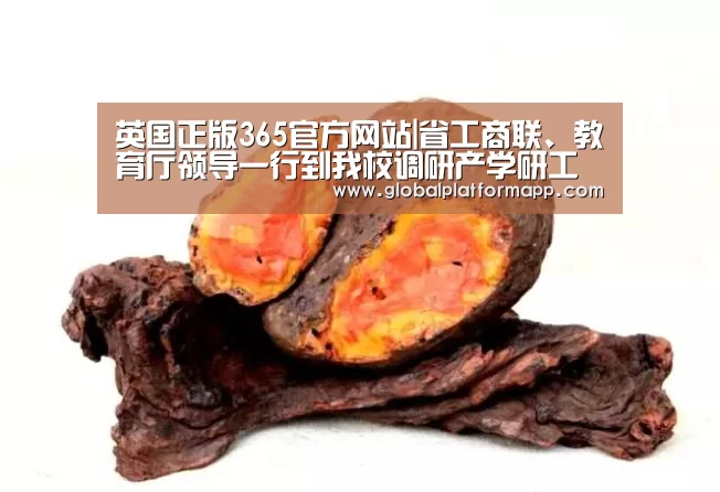 英国正版365官方网站|省工商联、教育厅领导一行到我校调研产学研工作(图1) 英国正版365官方网站