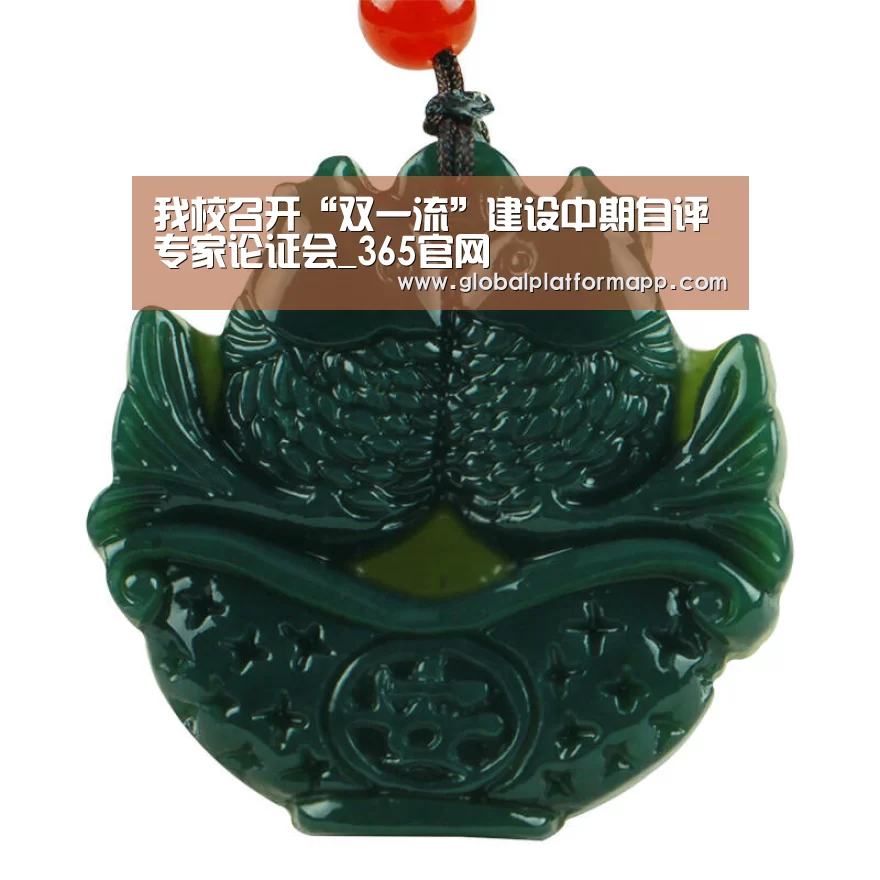我校召开“双一流”建设中期自评专家论证会_365官网(图1) 英国上市公司365