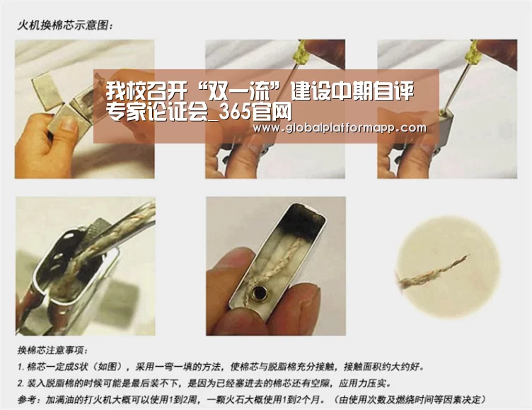 我校召开“双一流”建设中期自评专家论证会_365官网(图3) 英国365集团