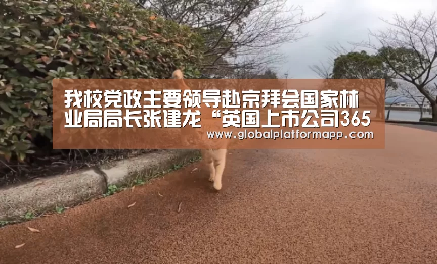 英国上市公司365