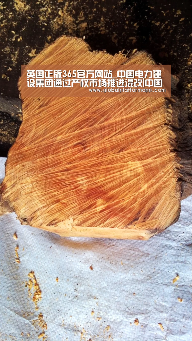 英国正版365官方网站_中国电力建设集团通过产权市场推进混改|中国电力(图2) 365官网