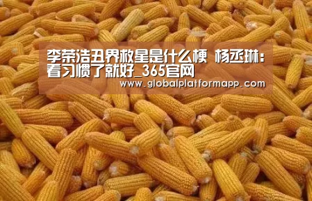 英国正版365官方网站